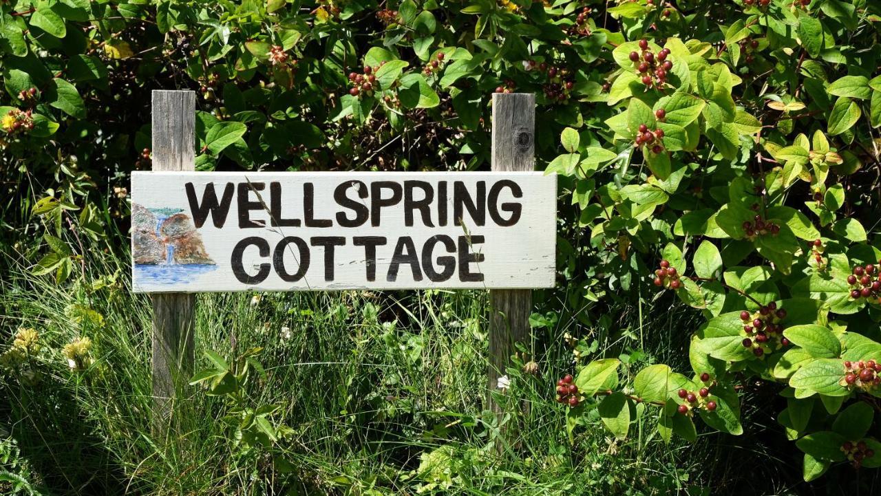 Wellspring Cottage Nr Kynance Cove Lizard Dış mekan fotoğraf